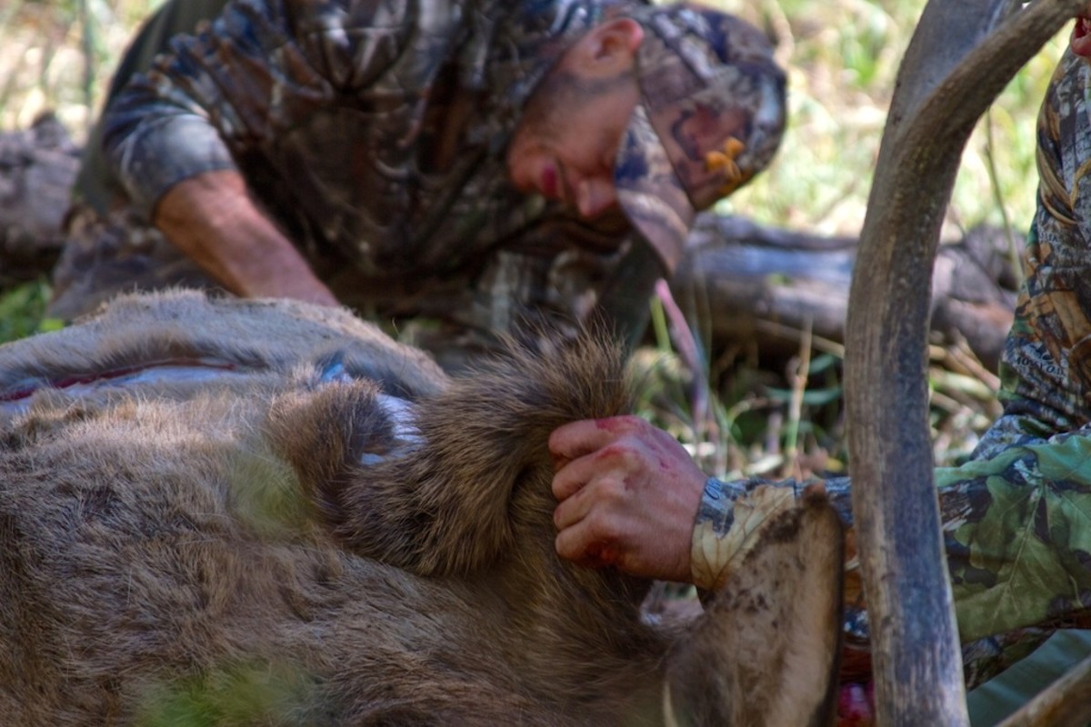 Shane Dorian hunts