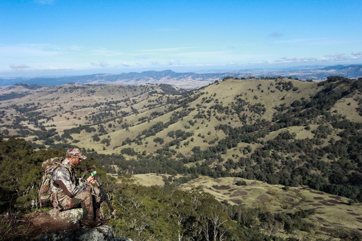Shane Dorian hunts