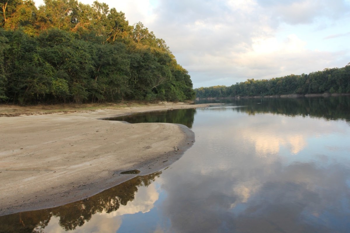 Apalachicola River