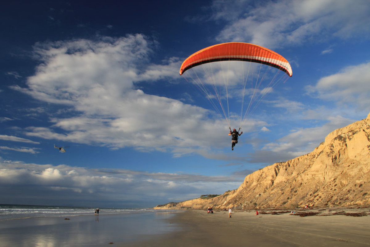 Torreypines1