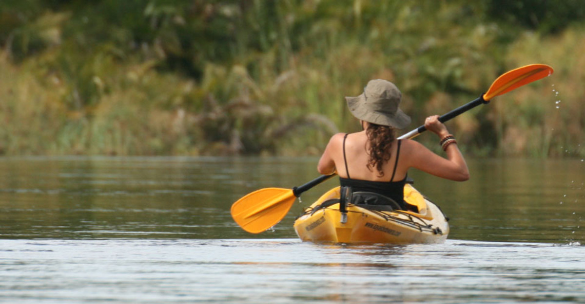 sea kayaking trips
