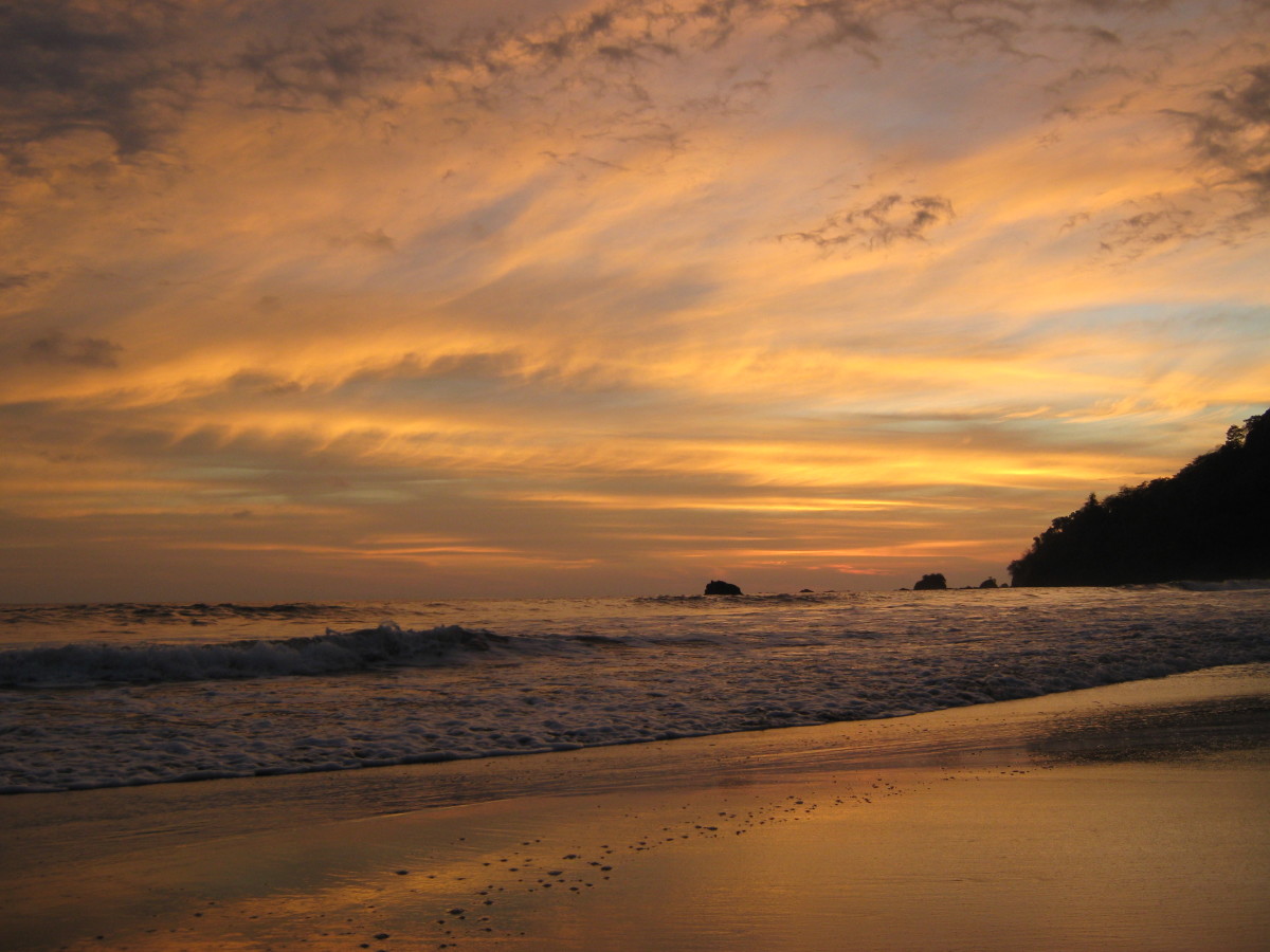 sea kayaking trips