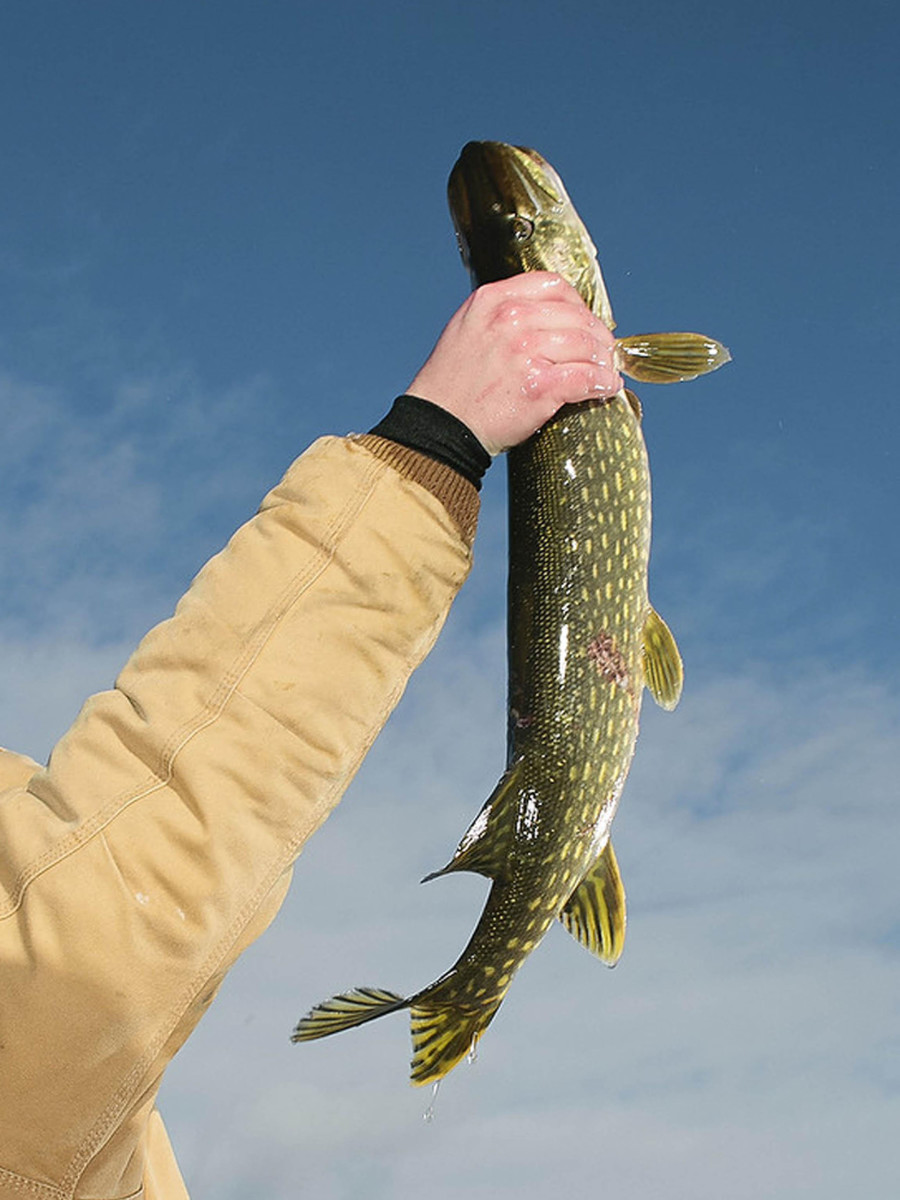 ICE FISHING