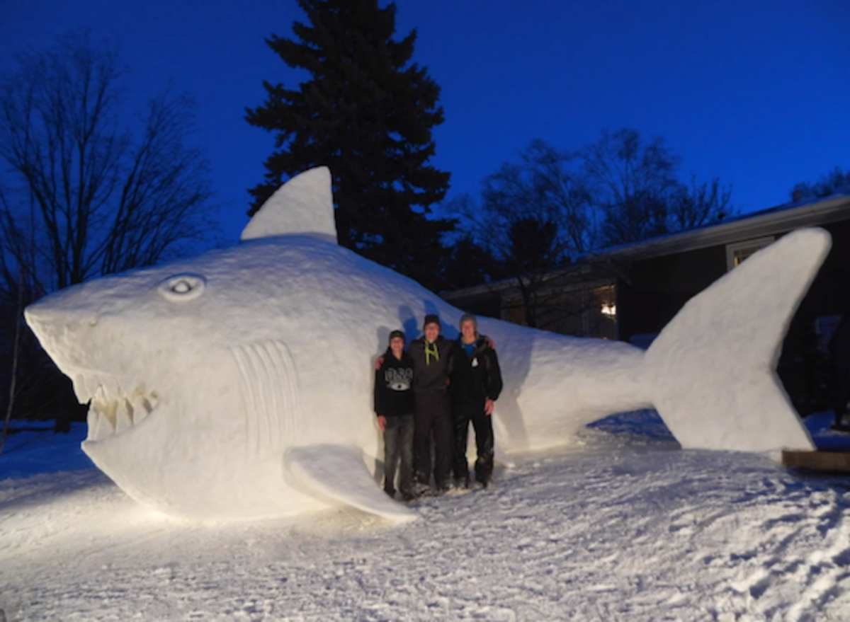 Photo of snow shark is a video screen grab
