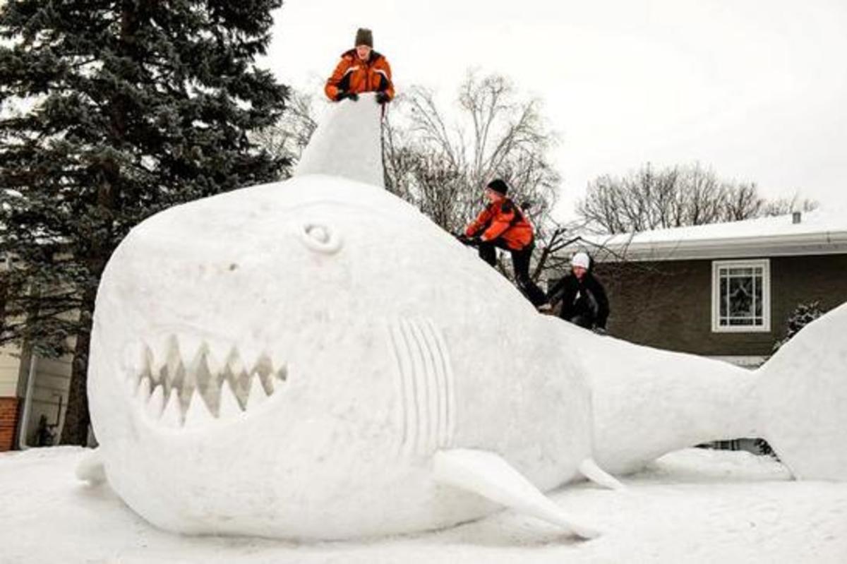 Snowshark3