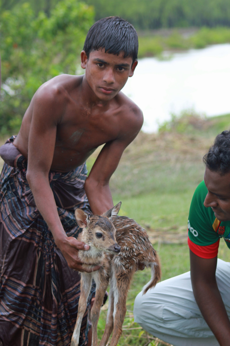 Boy Saves Drowning Baby Deer