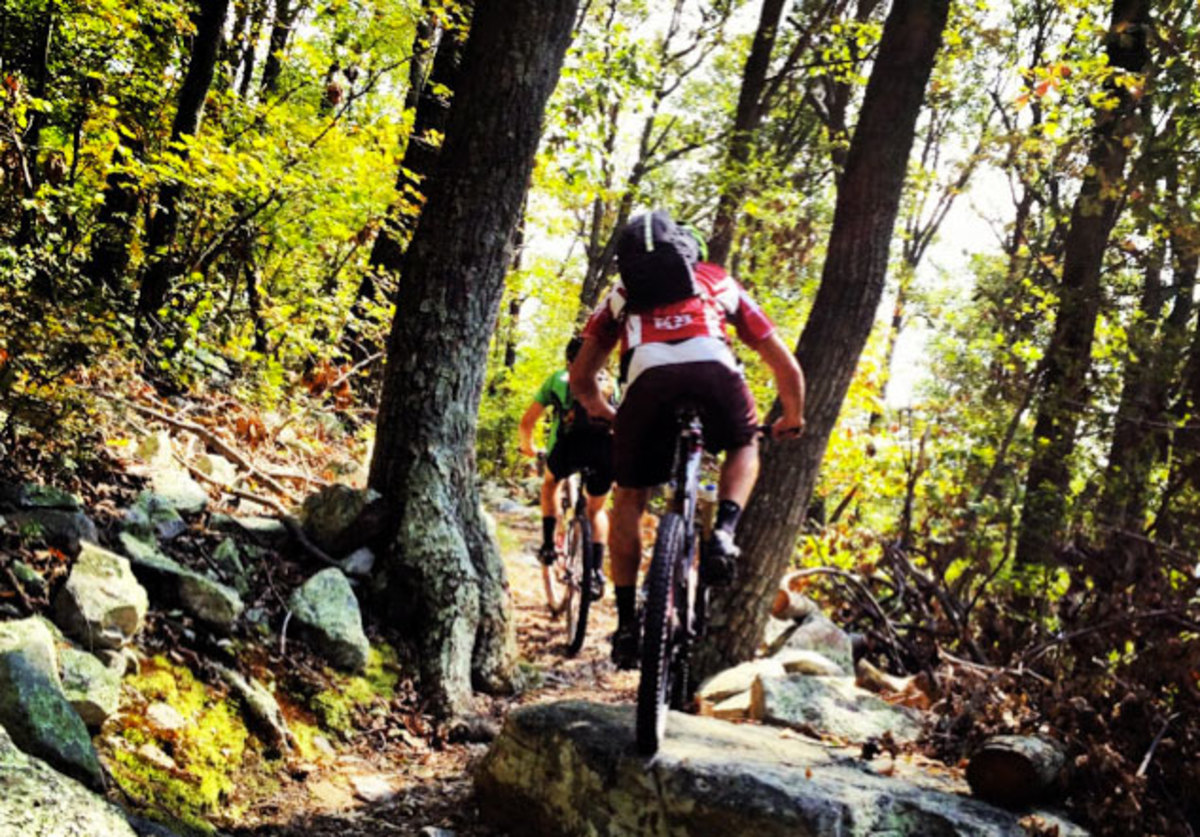 mountain biking