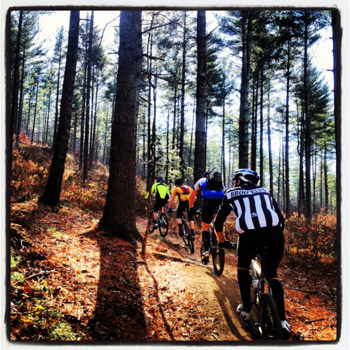 mountain biking