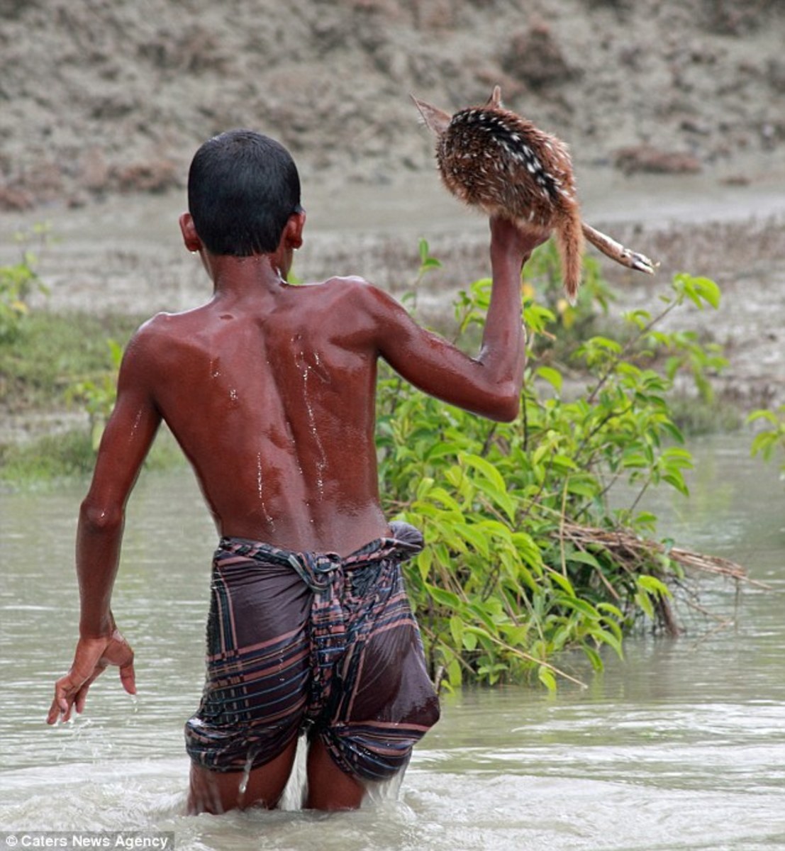 Boy risks life to save baby deer from drowning | Men's Journal