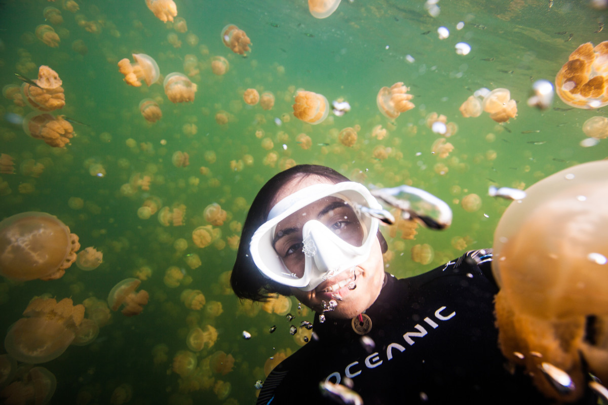 Jellyfish Lake
