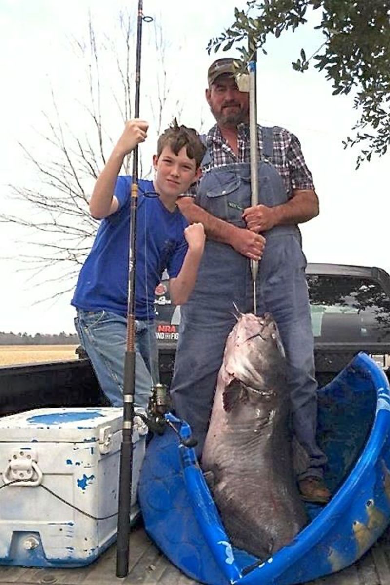 catfish