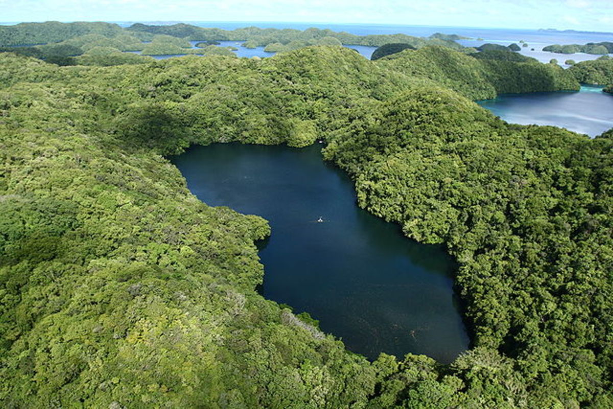 jellyfish lake aerial wikimedia