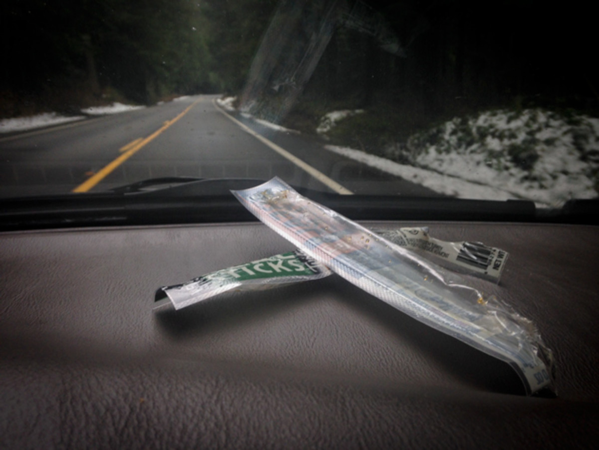 Photo 46