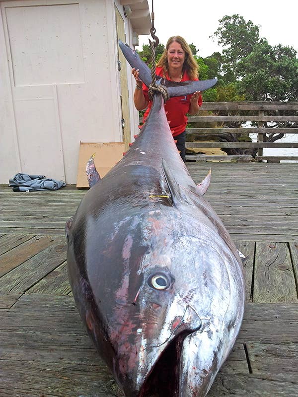 https://www.mensjournal.com/wp-content/uploads/2014/03/tuna1.jpg?w=600&quality=86&strip=all