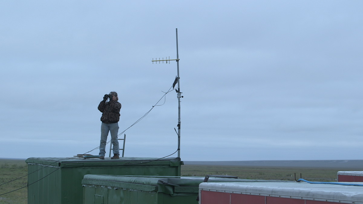 “Life Below Zero” star Sue Aikens, standing on her "perch" at Kavik River Camp, is constantly scanning the horizon to keep an eye out for grizzly bears. “Life Below Zero” star Sue Aikens, standing on her "perch" at Kavik River Camp, is constantly scanning the horizon to keep an eye out for grizzly bears.