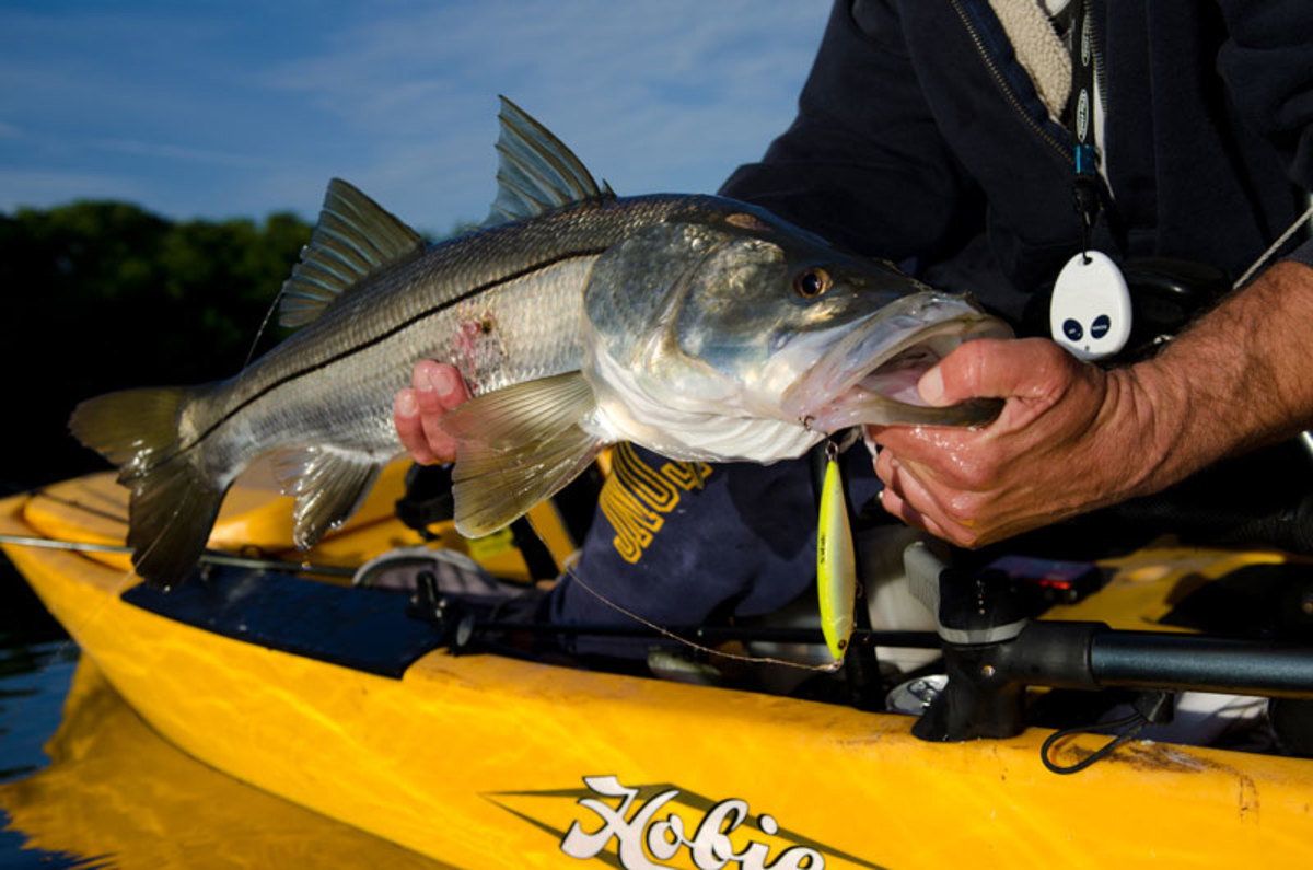 Pictured, behind the snook, the Micro's unobtrusive remote control.