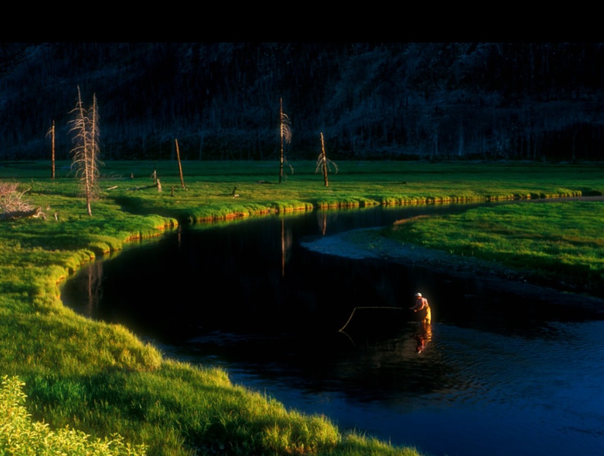 fly-fishing