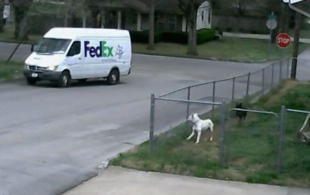 Fedex truck