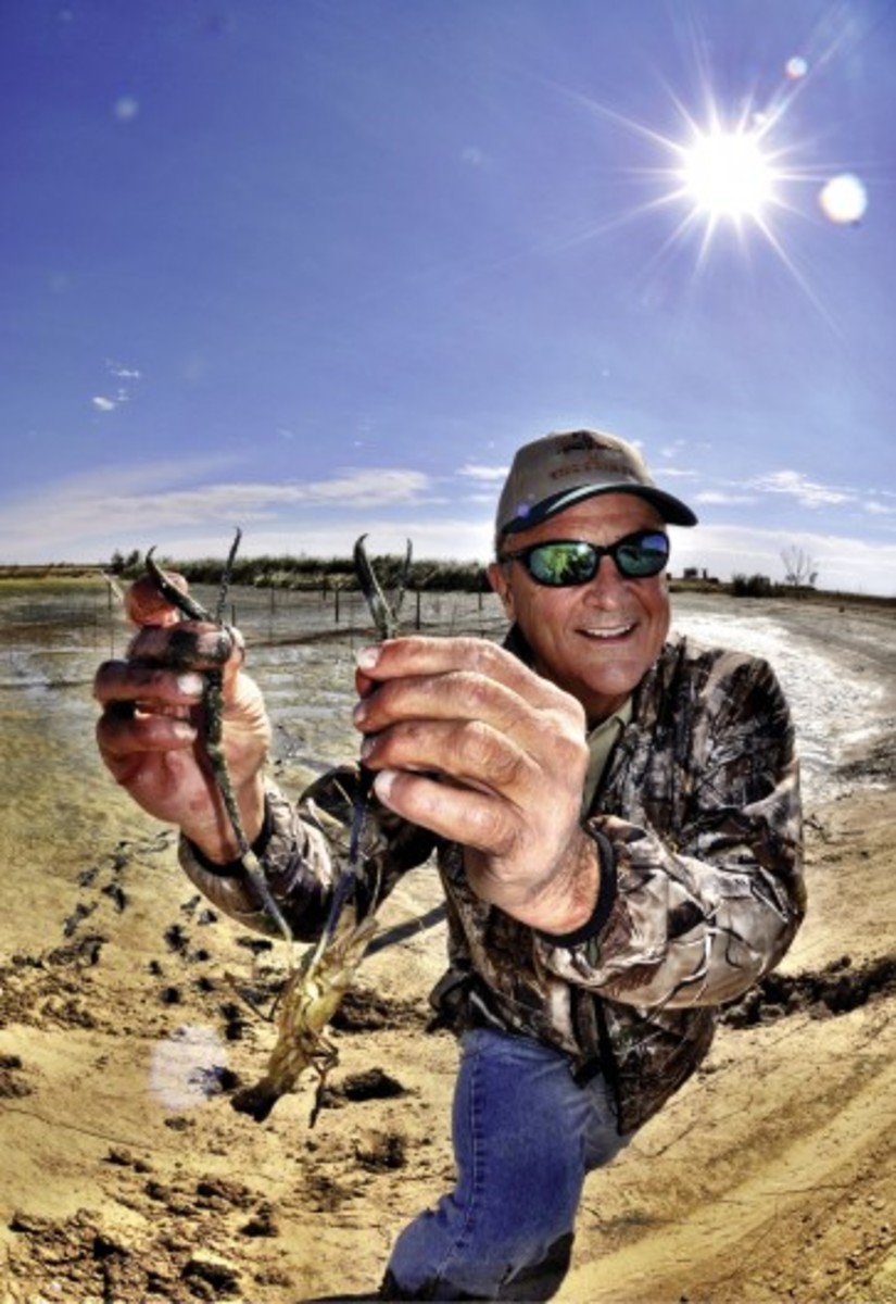 world-record bass