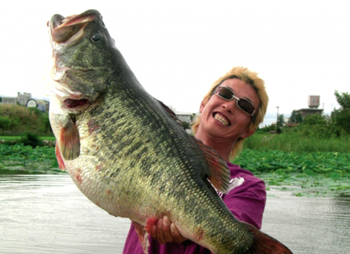 world-record bass