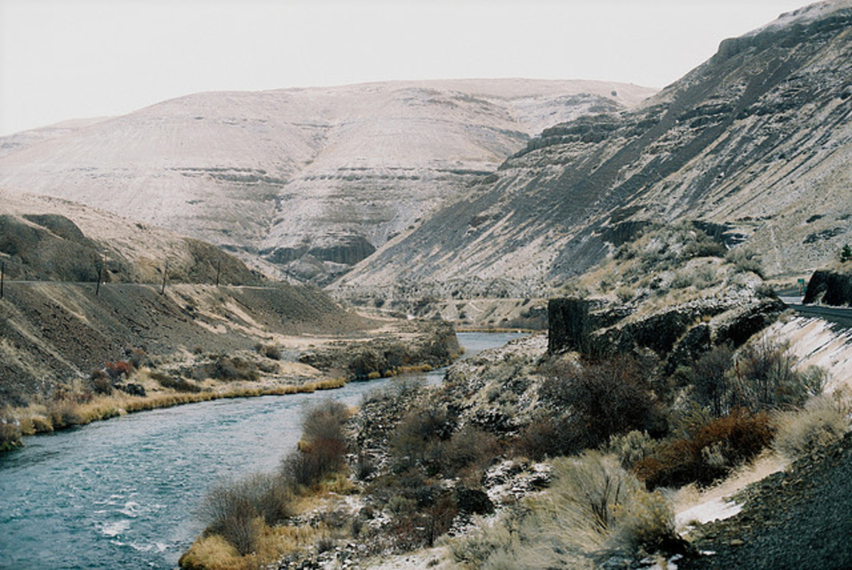 A quiet stretch of the Deschutes