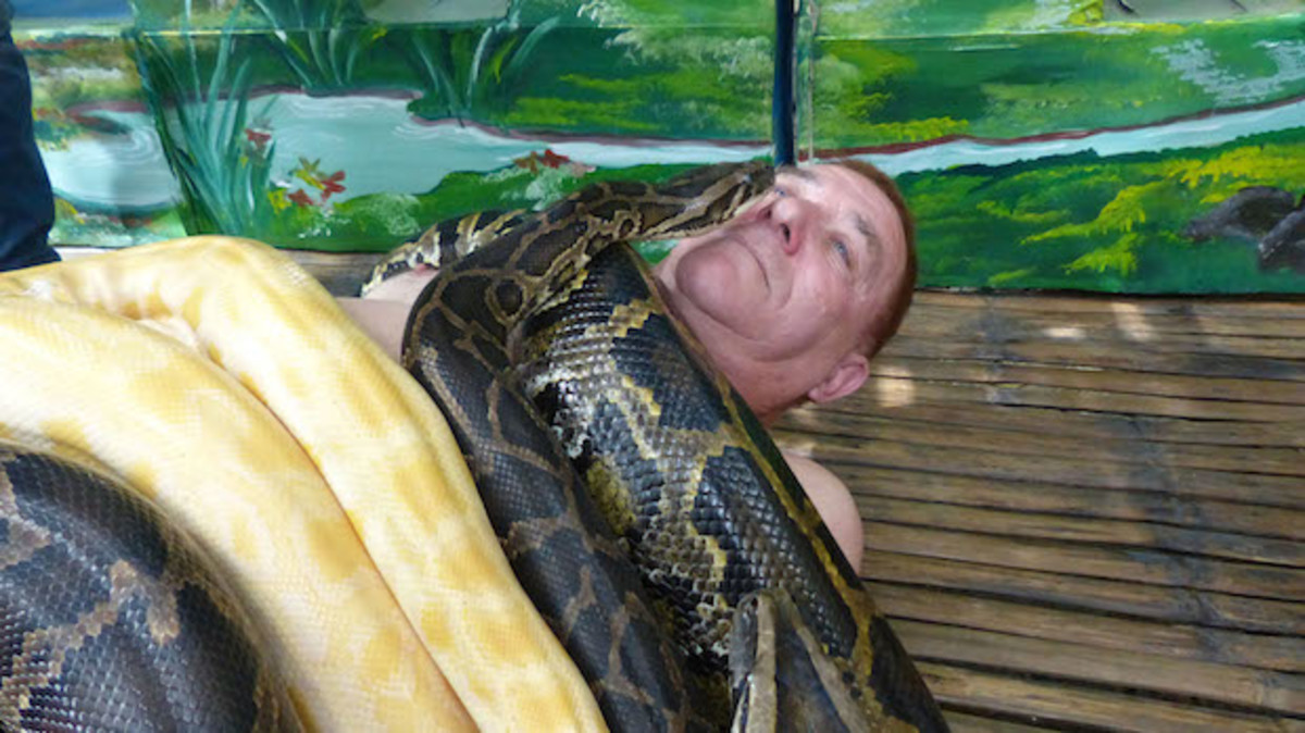 python Massage Philippines