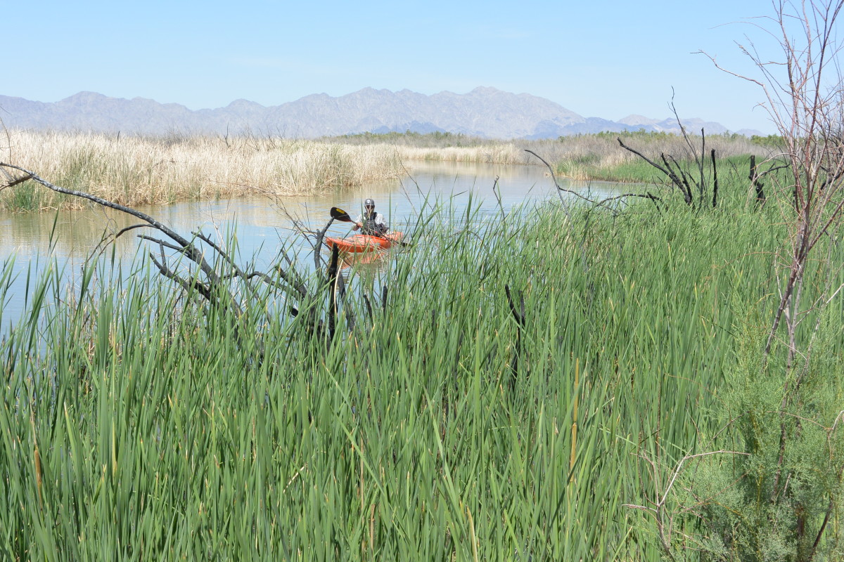 Zak Podmore paddles toward tidewater on the Rio Hardy, May 9, 2014. Photo by Jeff Moag