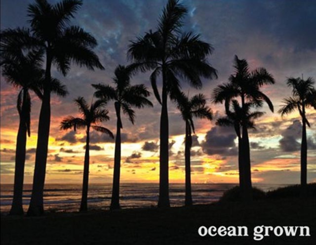 There's plenty to do in Costa Rica when the surf is flat; Photo courtesy of Brown