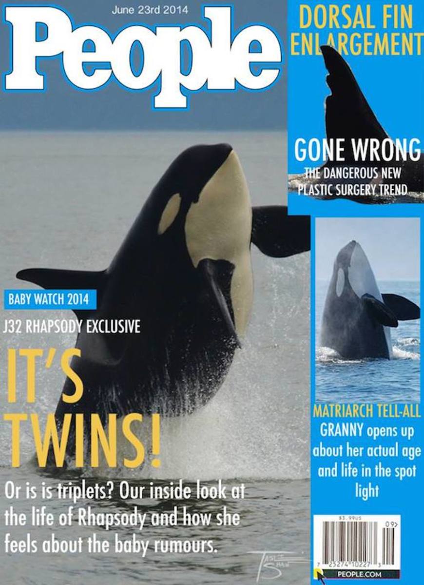 orca