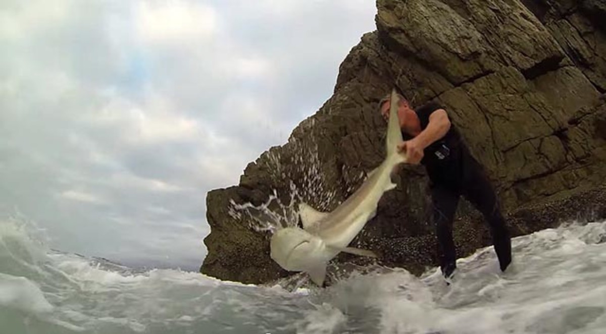 extreme fishing video