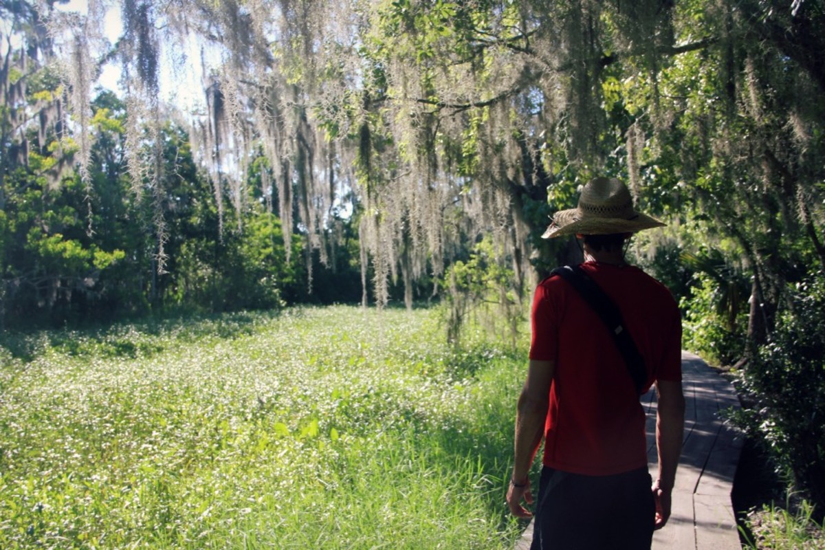 New Orleans