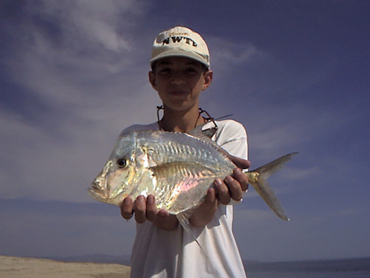 10 exotic fish El Niño might send to California