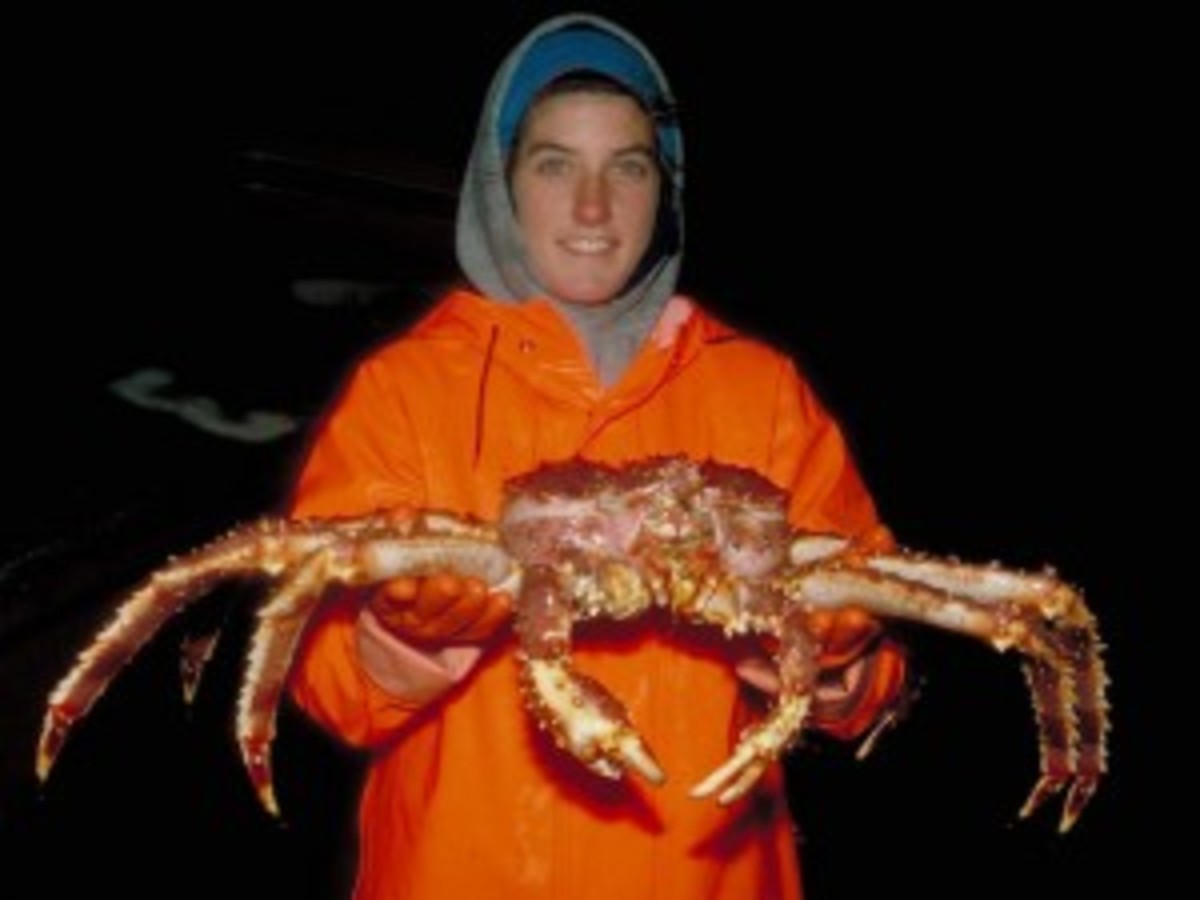 Redkingcrab-300x225