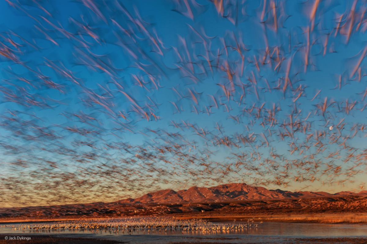 dawn lift-off