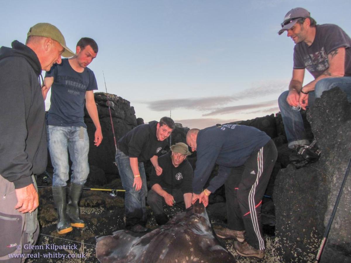 Fisherman Daniel Bennett poses with a smile as he admires the British record common skate