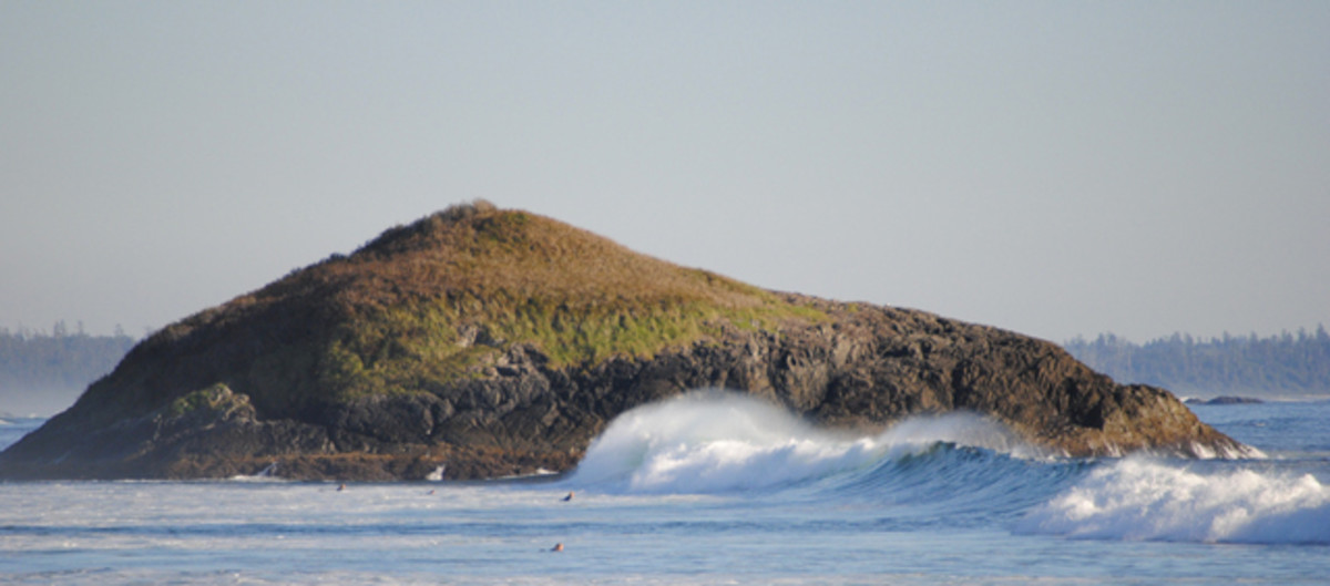 A few locals catch the swell in Pacific Rim National Park Reserve, just a few minutes from downtown Tofino; photo courtesy of Keith Jellis/Flickr.