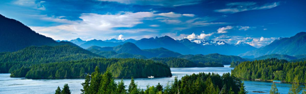 Not your average surfing backdrop, Tofino Bay is one of the Northwest's best kept secrets; photo courtesy of Mark Skainy/Shutterstock.