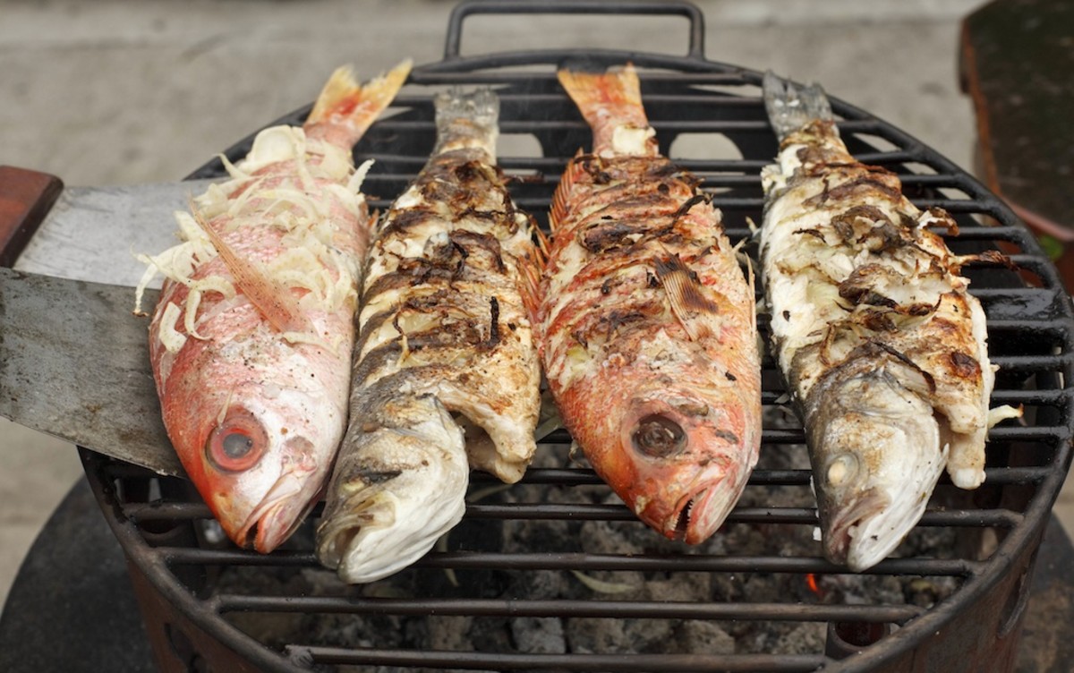 campfire cooking