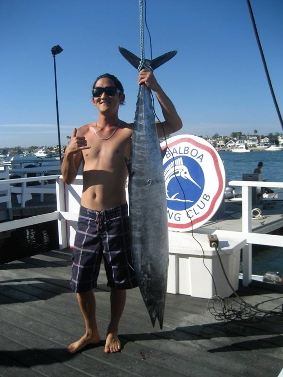 Wahoo