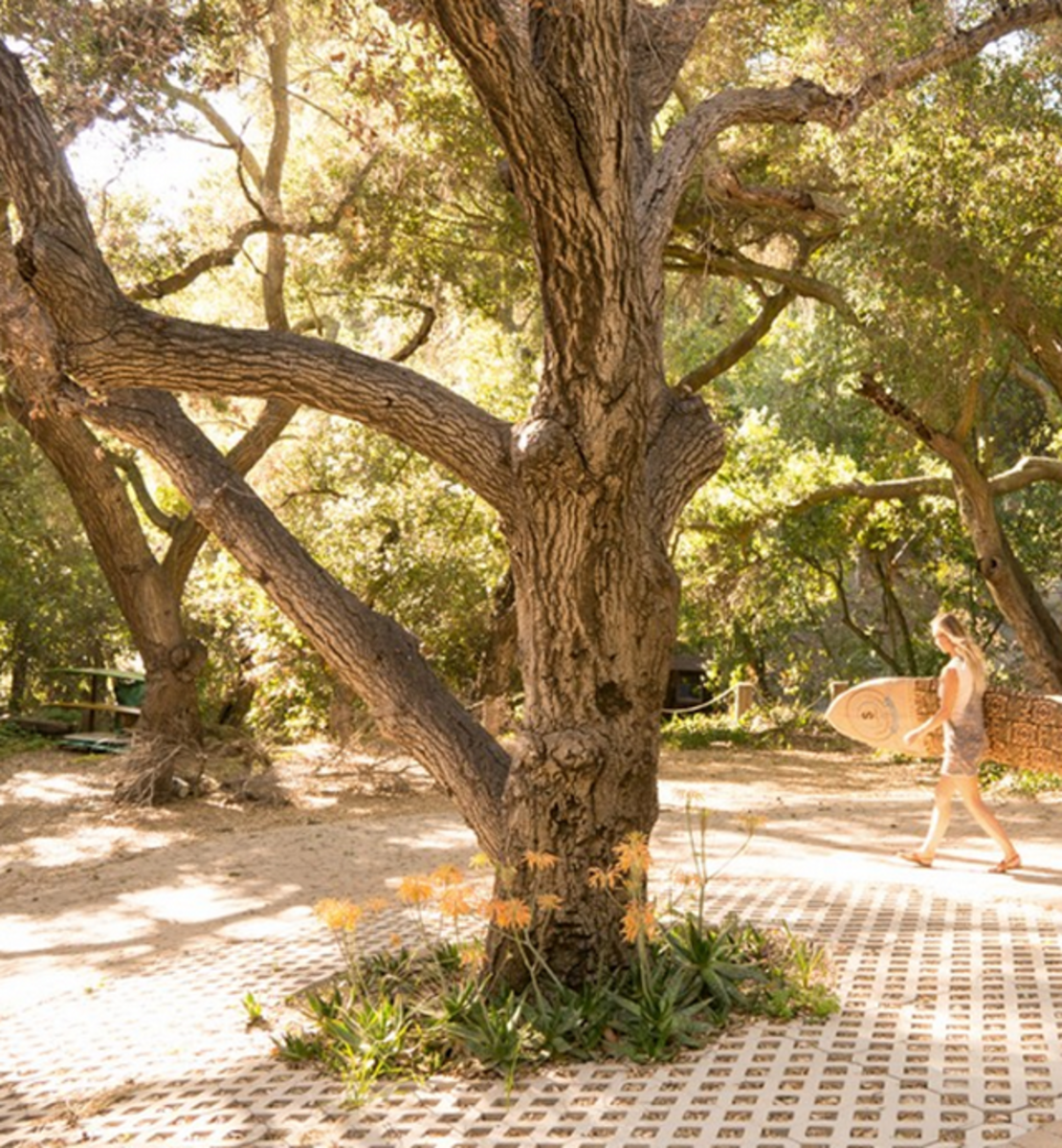 Topanga Canyon