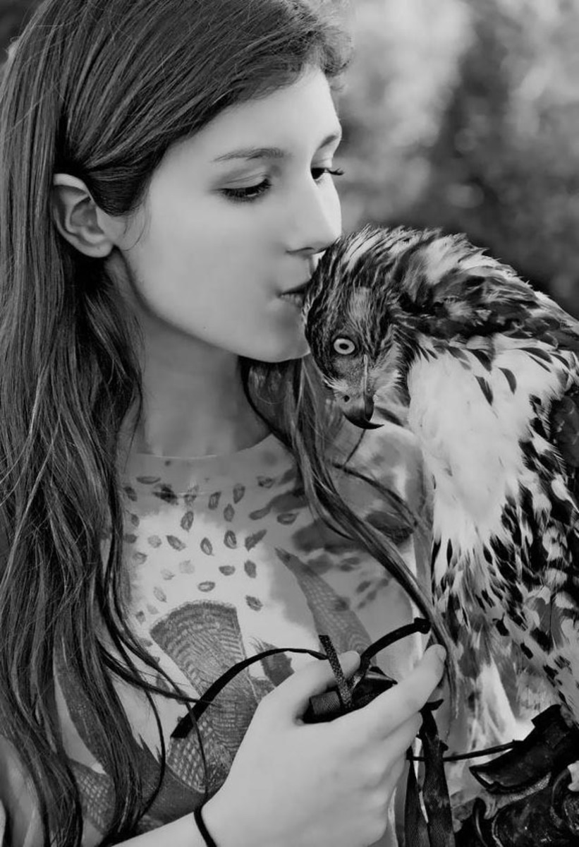 falconer