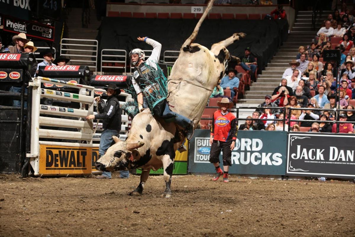 bull riding