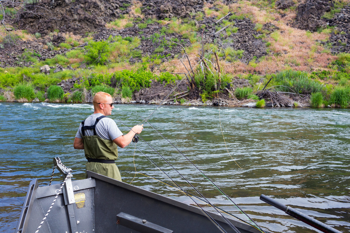 Fishing trips