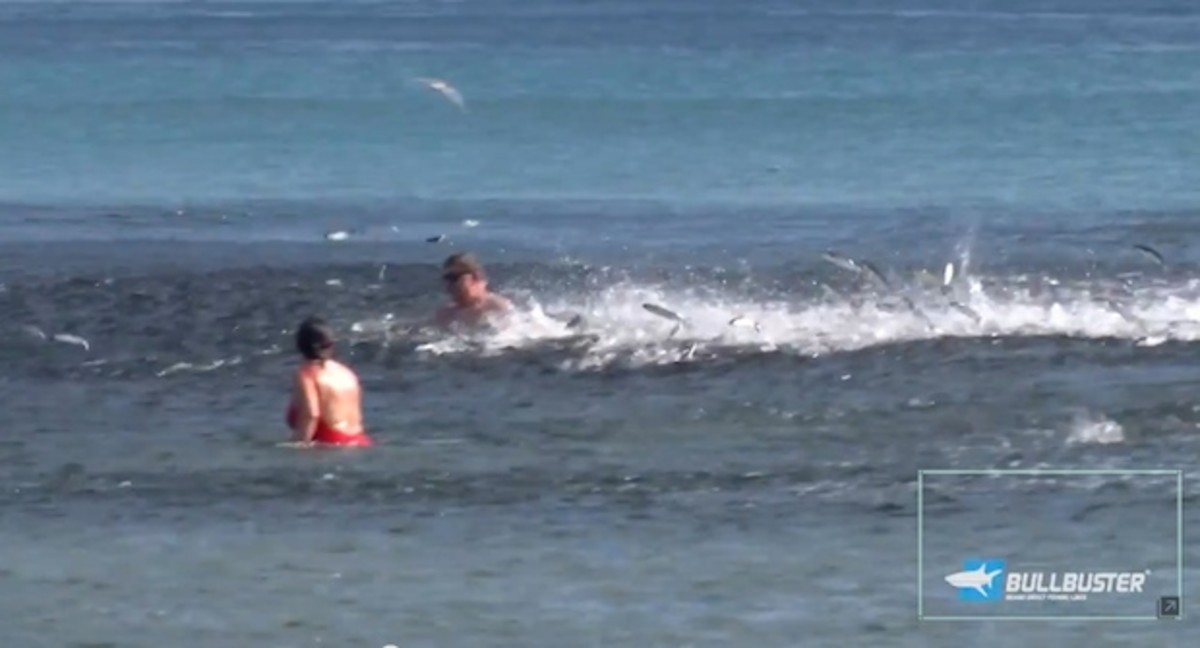 Swimmer slammed by mullet