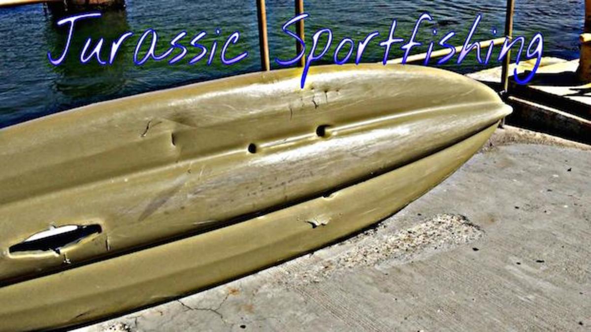 kayak damaged by shark attack