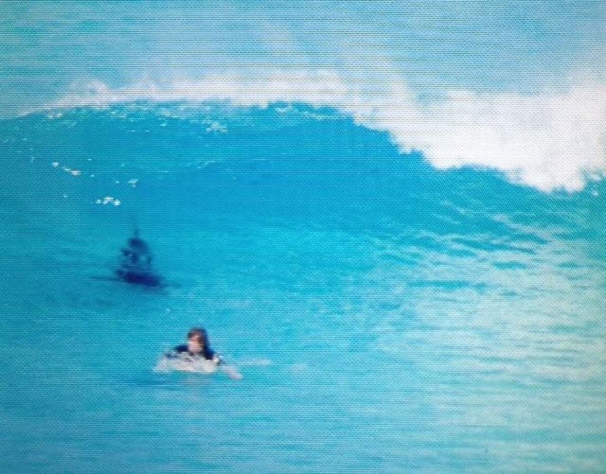 surfer and shark