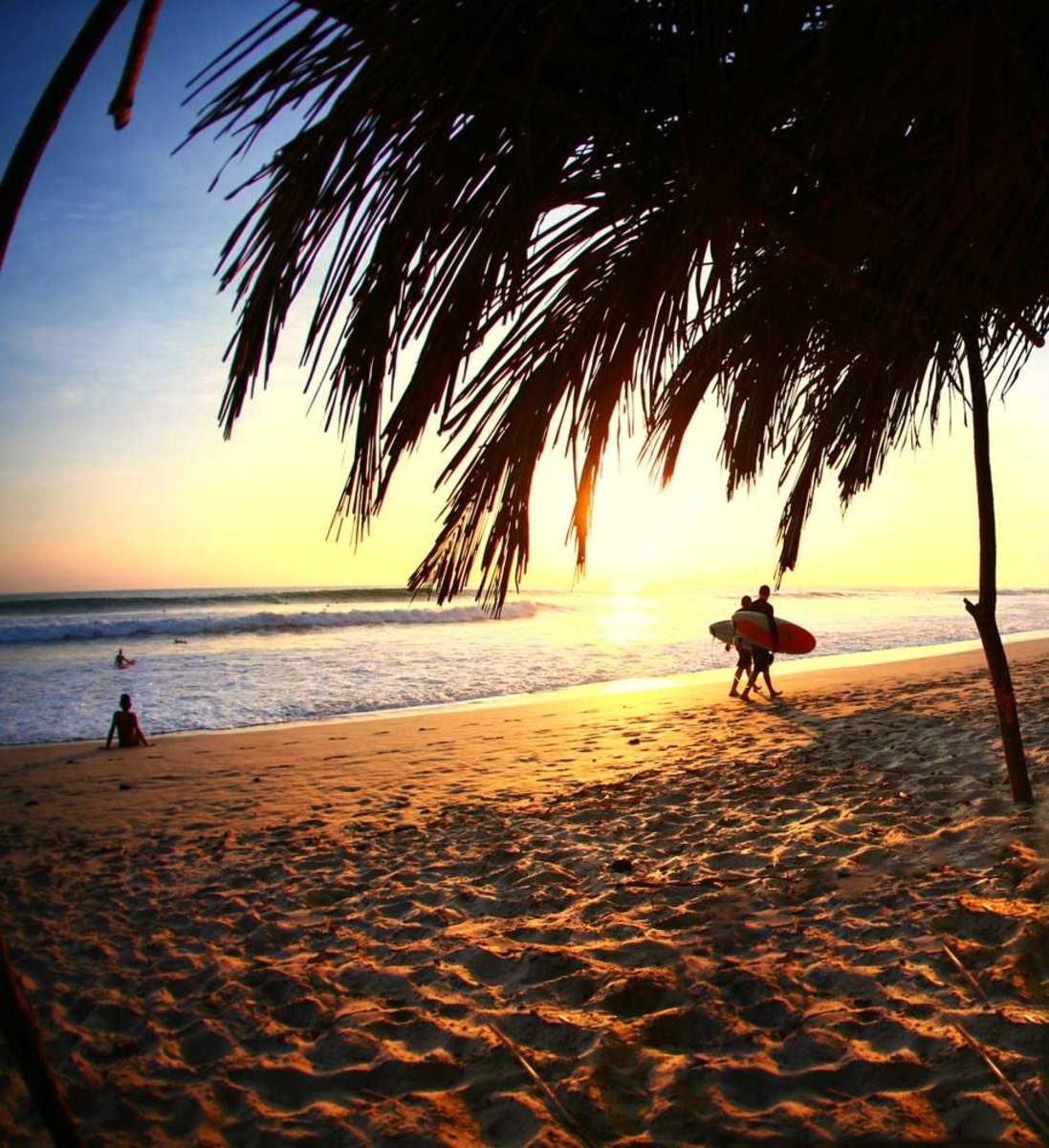 Surfing