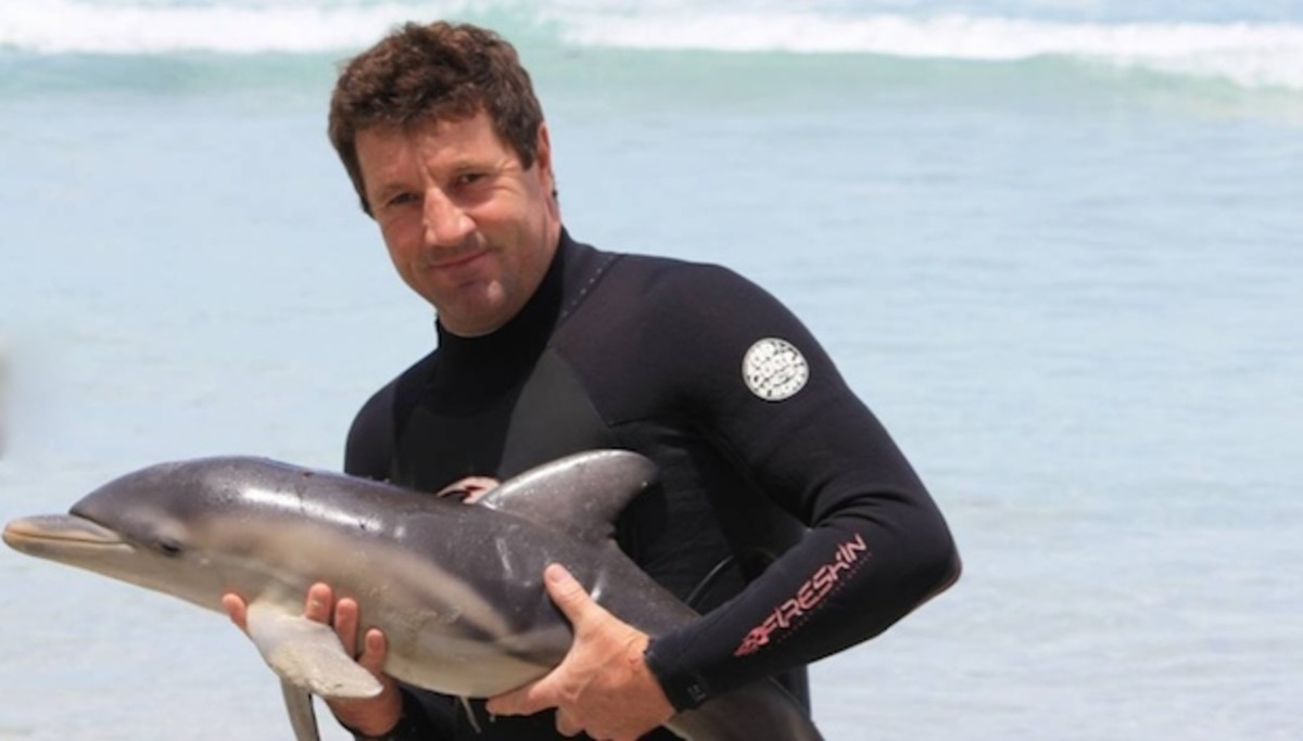 Australian man saves stranded dolphin | Men's Journal