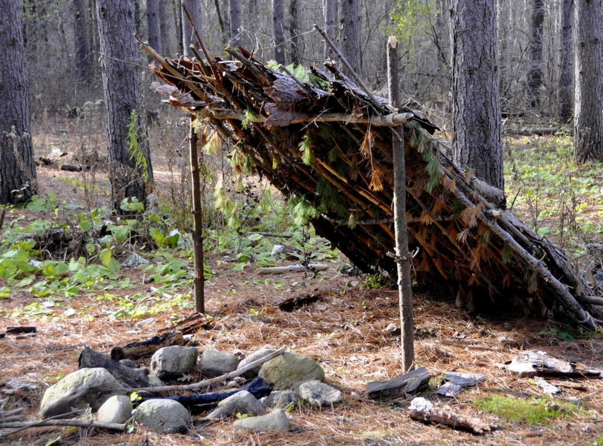 bushcraft