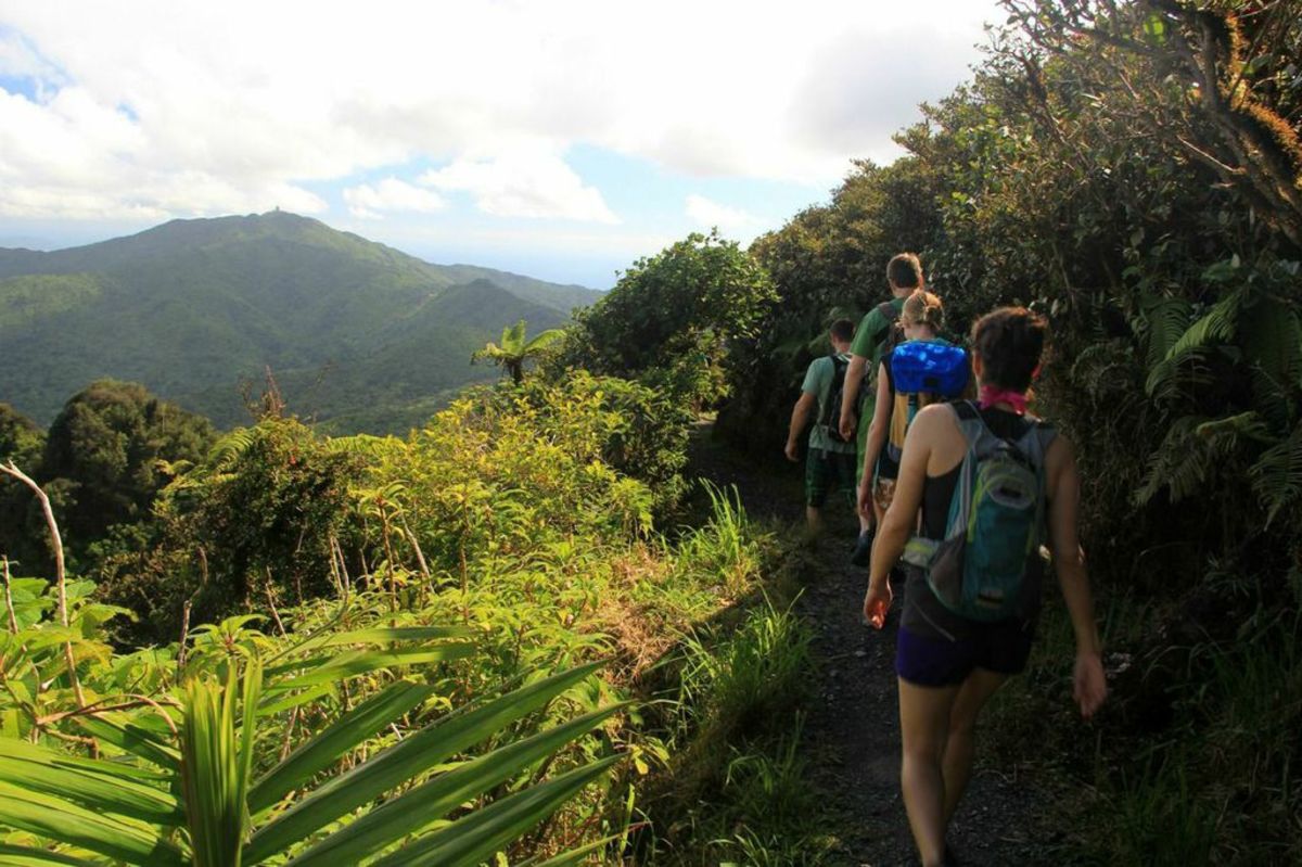 El Yunque